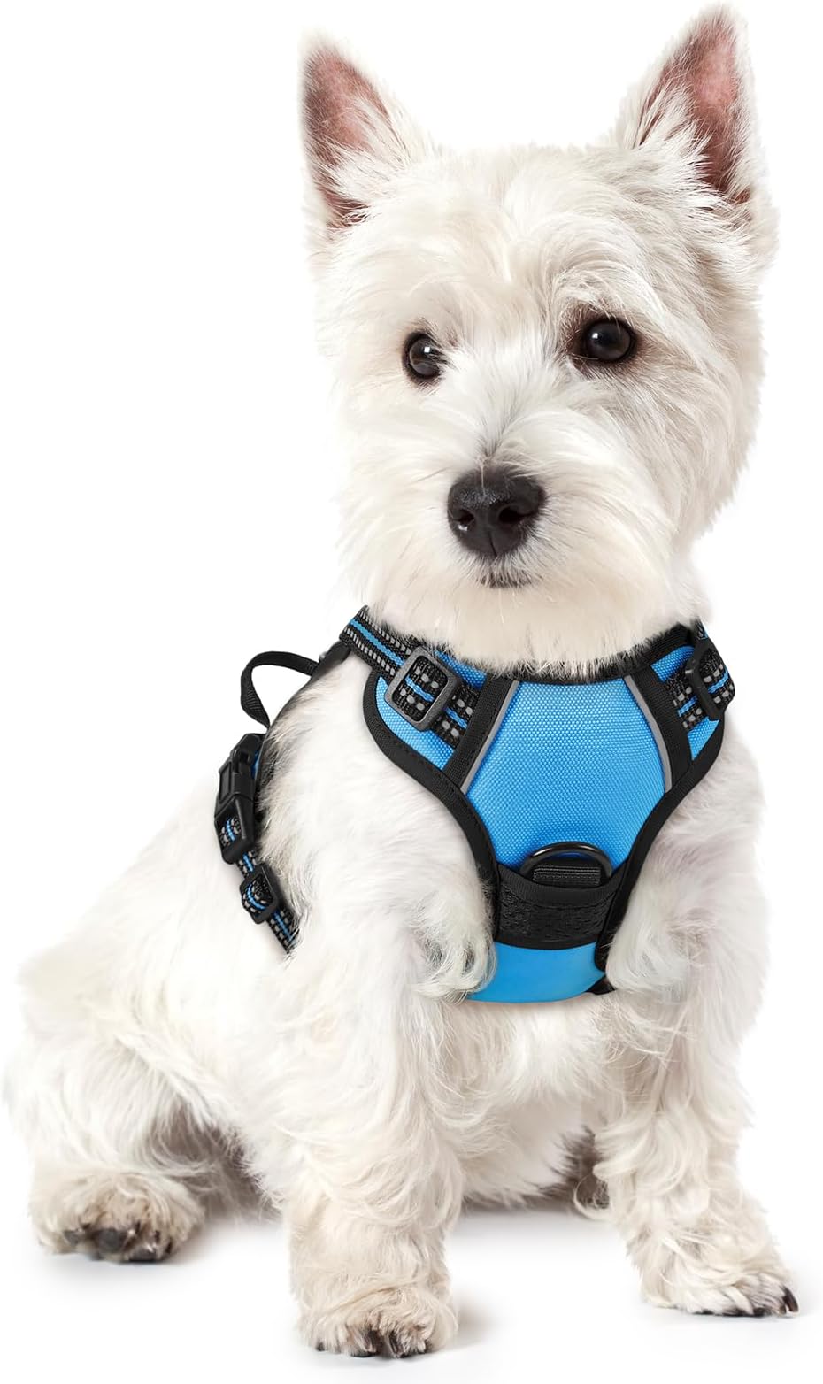 rabbitgoo Dog Harness Small Dog No Pull Pet Harness with 2 Leash Clips, Adjustable Soft Padded Pet Vest Harness, Reflective No-Choke with Easy Control Handle for Training or Walking, Baby Blue, XS