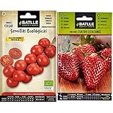 Semillas Batlle Tomate de Colgar Sel. Domingo - Eco & Fresones 4 Estaciones, Color Rojo