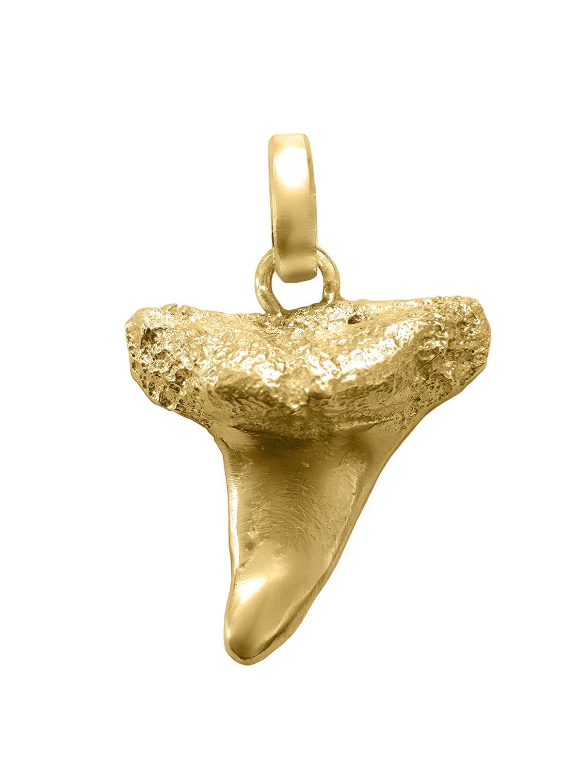 Colgante de diente de tiburón para hombre y mujer, oro amarillo 333 (8 quilates), macizo, 22 mm x 17 mm, color dorado tiburón A-06179-G301