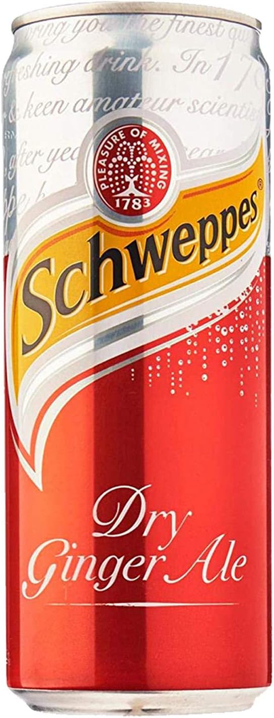 Dry Ginger Ale Can, 320 ml