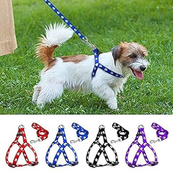 Woofy Nylon Adjustable Leash with Harness Set Printed Nylon Puppy Harness for Small & Medium Dogs Colour May Vary (0.5 INCH), multicoloured
