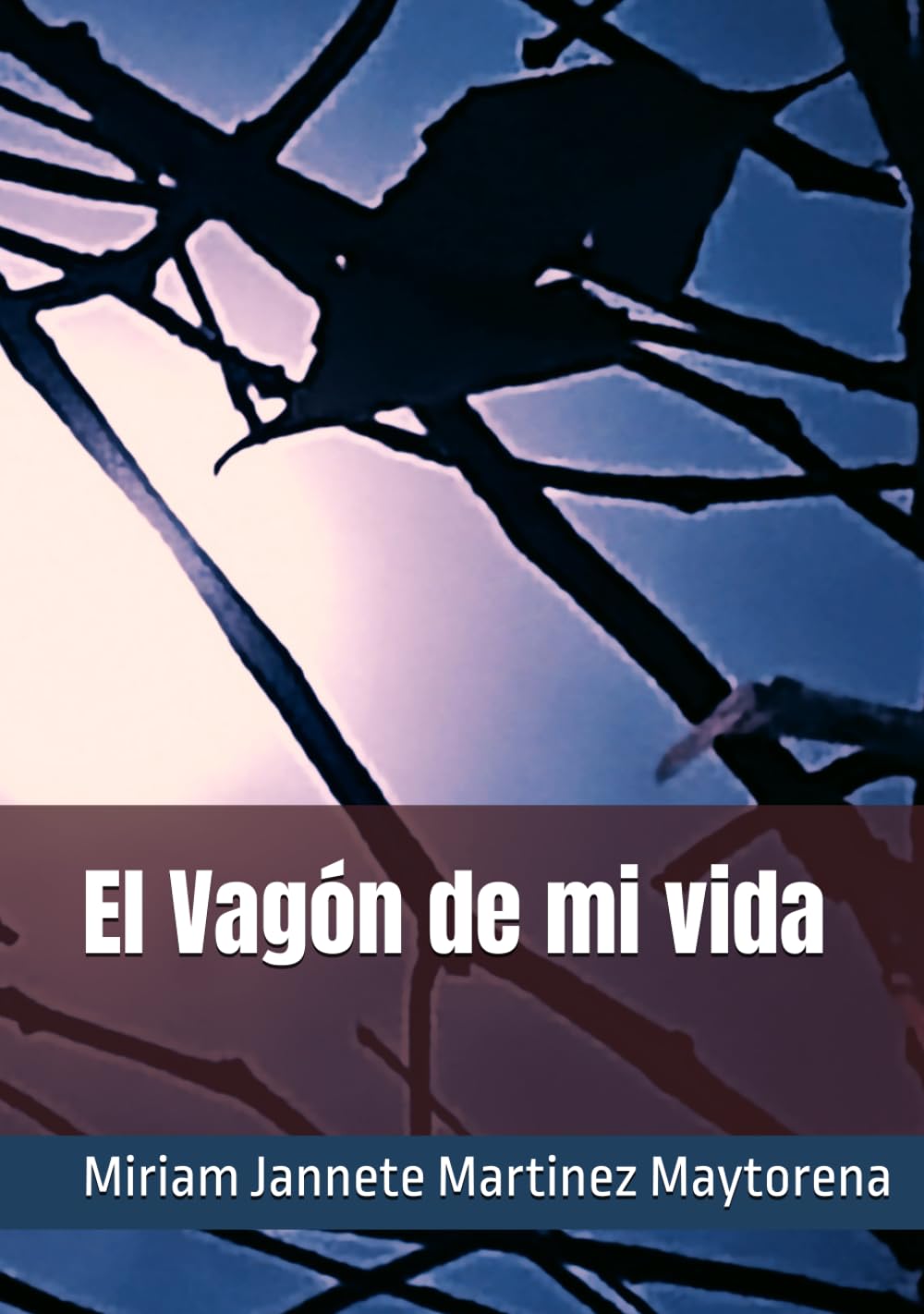 El Vagón de mi vida
