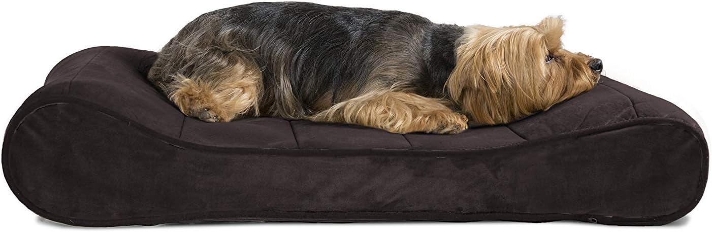 Furhaven Orthopedic Dog Bed for Medium/Small Dogs w/ Removable Washable Cover, For Dogs Up to 23 lbs – Microvelvet Luxe Lounger Contour Mattress – Espresso, Medium