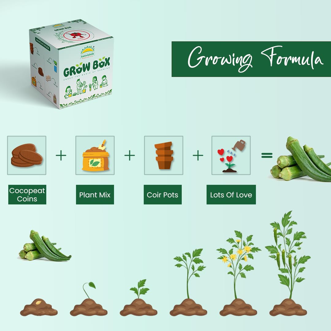 Sattvishtik Grow Box Lady Finger Vegetable Kit for Kids | Pack of 1 | Eco Friendly Gift for Kids | Beginner Gardeners | DIY | Easy Grow it Yourself Gardening Kit for Home & Garden 1