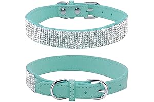 Rhinestone Dog Collars - The Perfect Bling for Your Best Friend