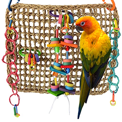 Mur d'activité pour les perroquets accessoire de cage pour salon