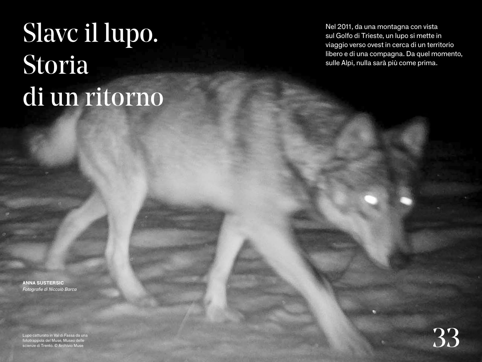Alpi. The passenger. Per esploratori del mondo