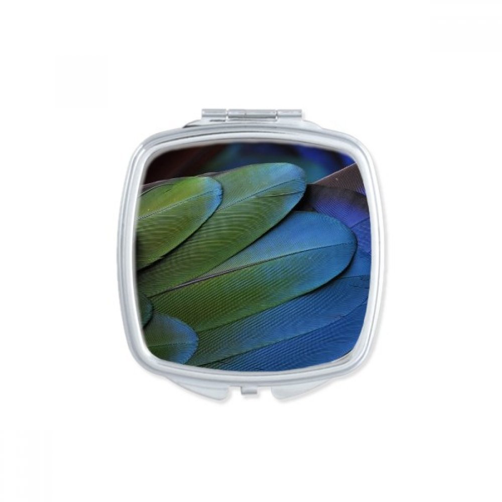 Miroir de poche à la main Buffalo cadeau multicolore mignon pour anniversaire et fêtes