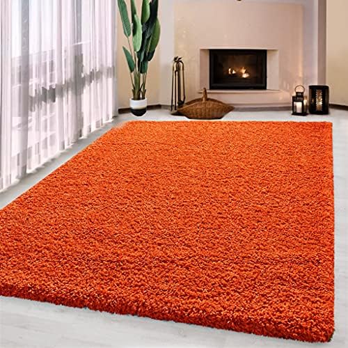 UETIAN Luxurious Shaggy Rugs Soft Extra Thick Area Rugs Heavy 5cm Dense Pile for Living Room Bedroom Hallway