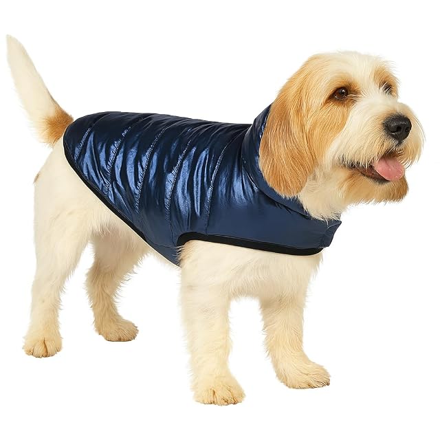 Abrigo Perro - Wasa Azul Oscuro - Poliéster - Forro Polar cálido - Impermeable - Cierre con Velcro - Cómodo
