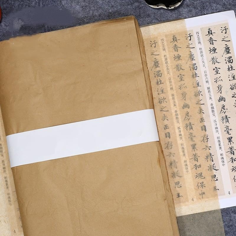 100Pcs Ancient Bamboo Pulp Handmade Rice Paper Cicada Wing Vegetation Dyed Retro Semi Raw for Running Script Cursive Writing