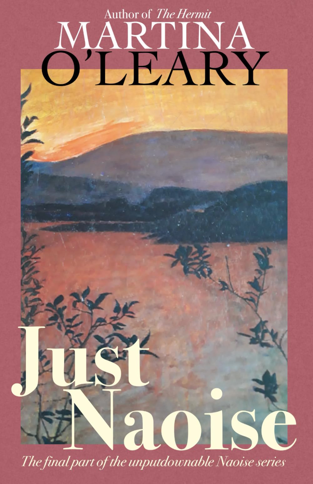 Just Naoise: The final part of the unputdownable Naoise series