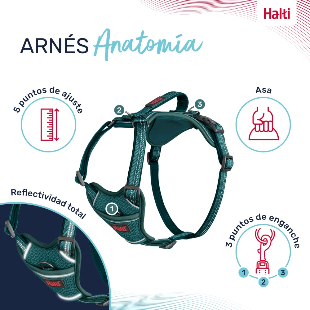 Arnés de perro HALTI Anatomy con asa - Proporciona libertad de movimiento a tu perro para que pasee cómodamente. 3 puntos de enganche y acolchado de neopreno y ajustable (Talla XS, Verde Azulado) — view 3