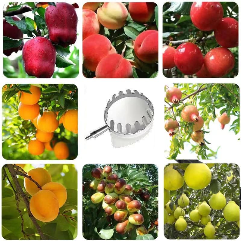 Telescopic Fruit Picker Tool Set - 6-in-1 Stainless Steel Extension Pole with Branch Saw, Fruit Picker Basket & Pruning Head, Adjustable Harvesting Tool for Pear, Peach, Persimmon (Silver, 3m)
