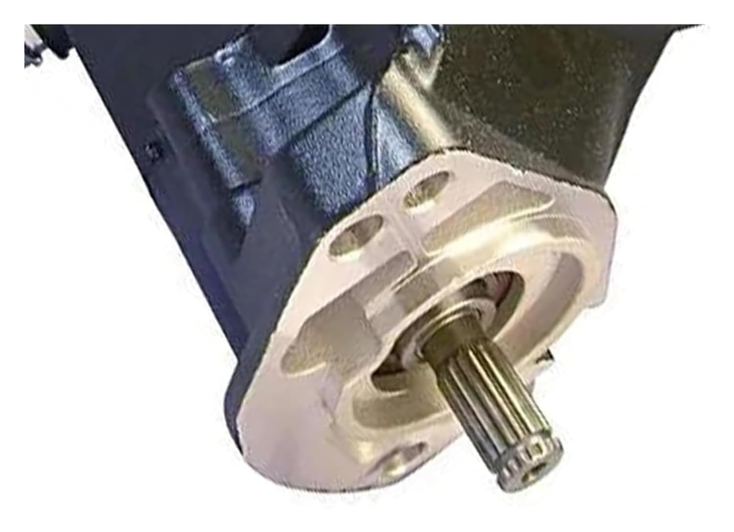 Art Works 1 あふりらんぽ Hong Kong / Japan あふりらんぽ in HONG