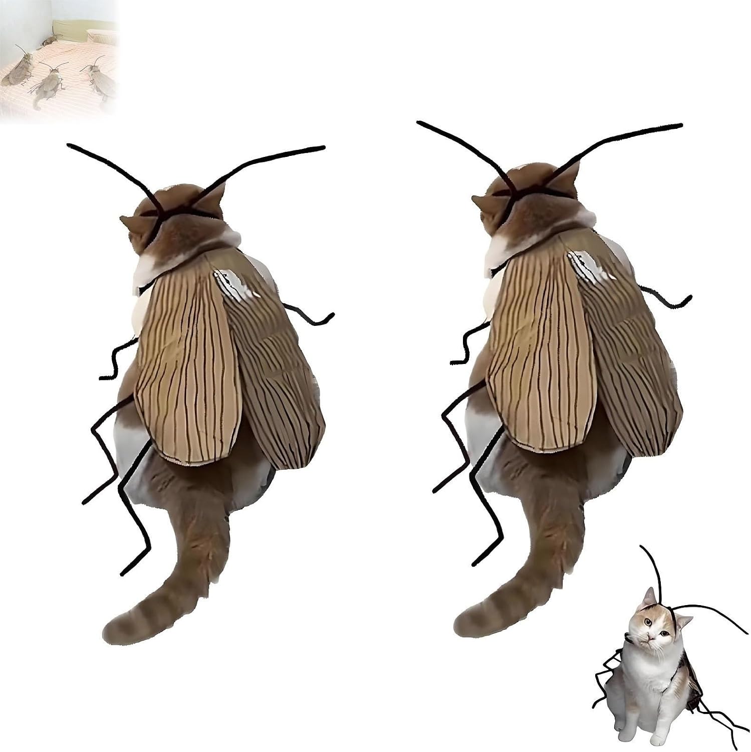 Amazon.com: Cat Cockroach Clothing DIY Kit, Funny Cat Cape Craft Set ...