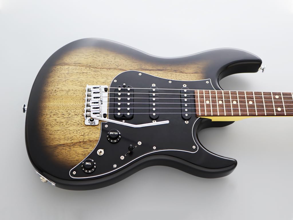 FGN Electric Guitar Odyssey Series, J Standard JOS2TDEW1R - Dark