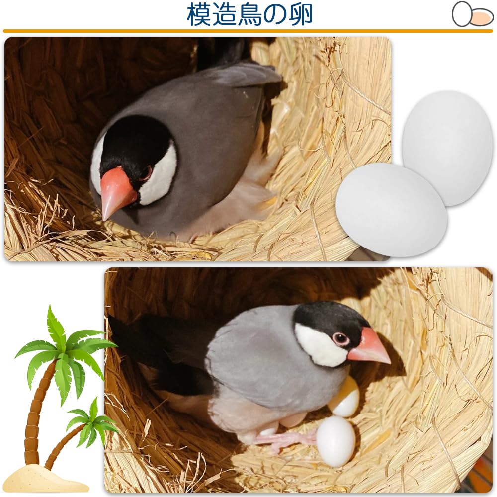 Amazon | 偽卵 鳥おもちゃ 6個セット 偽の卵 プラスチック製の卵 繁殖