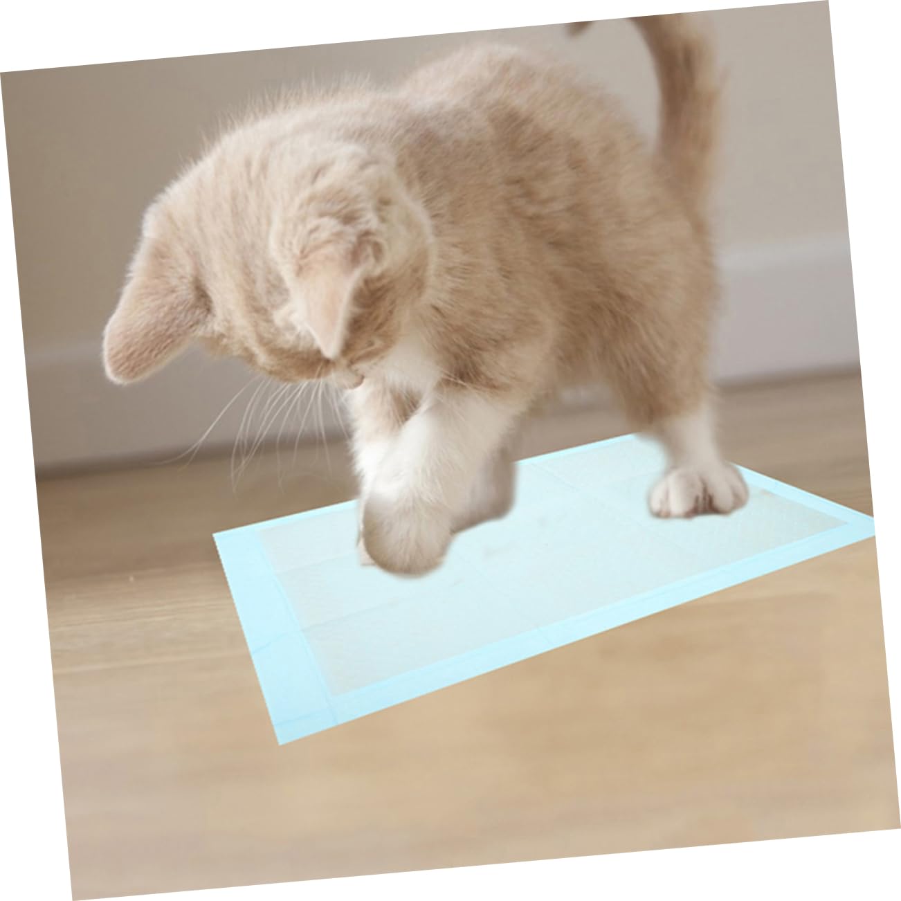 SUPVOX Puppy Pad Confezione da 100 Tappetini Assorbenti per per Cani Extra Large Super Assorbenti E Monouso per L'addestramento E L'uso Quotidiano