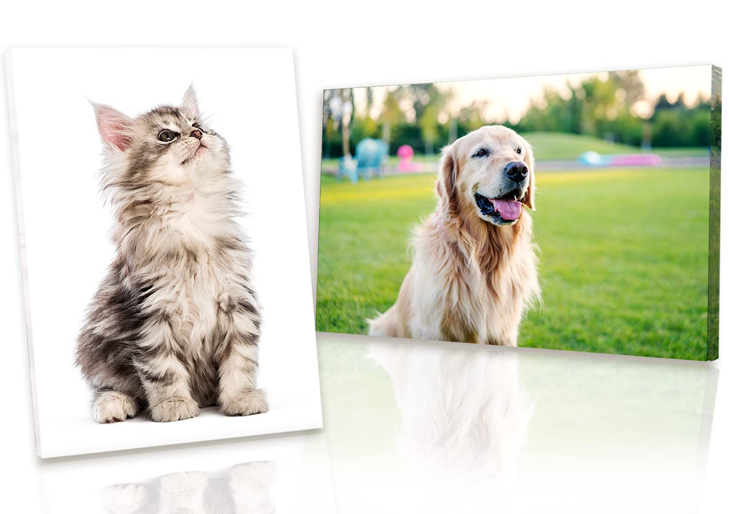 Edenpack Lienzo impreso personalizado con fotos de animales de mascotas, perros y gatos sobre lienzo enmarcado, regalo para ocasiones especiales (61 x 41 cm)