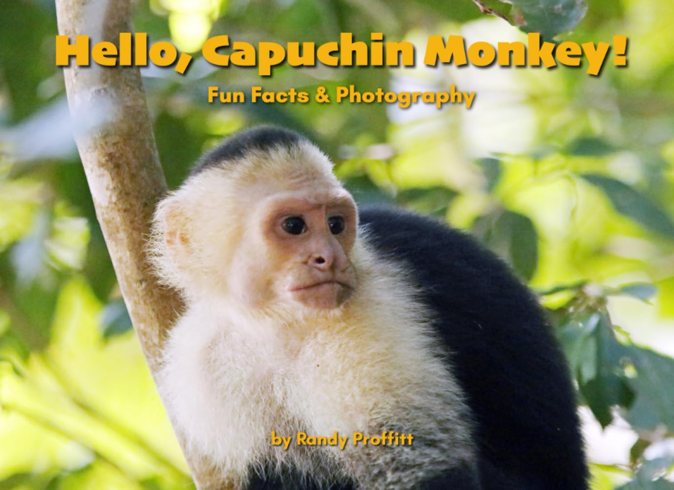 Hello, Capuchin Monkey! (Hello, Wildlife!)