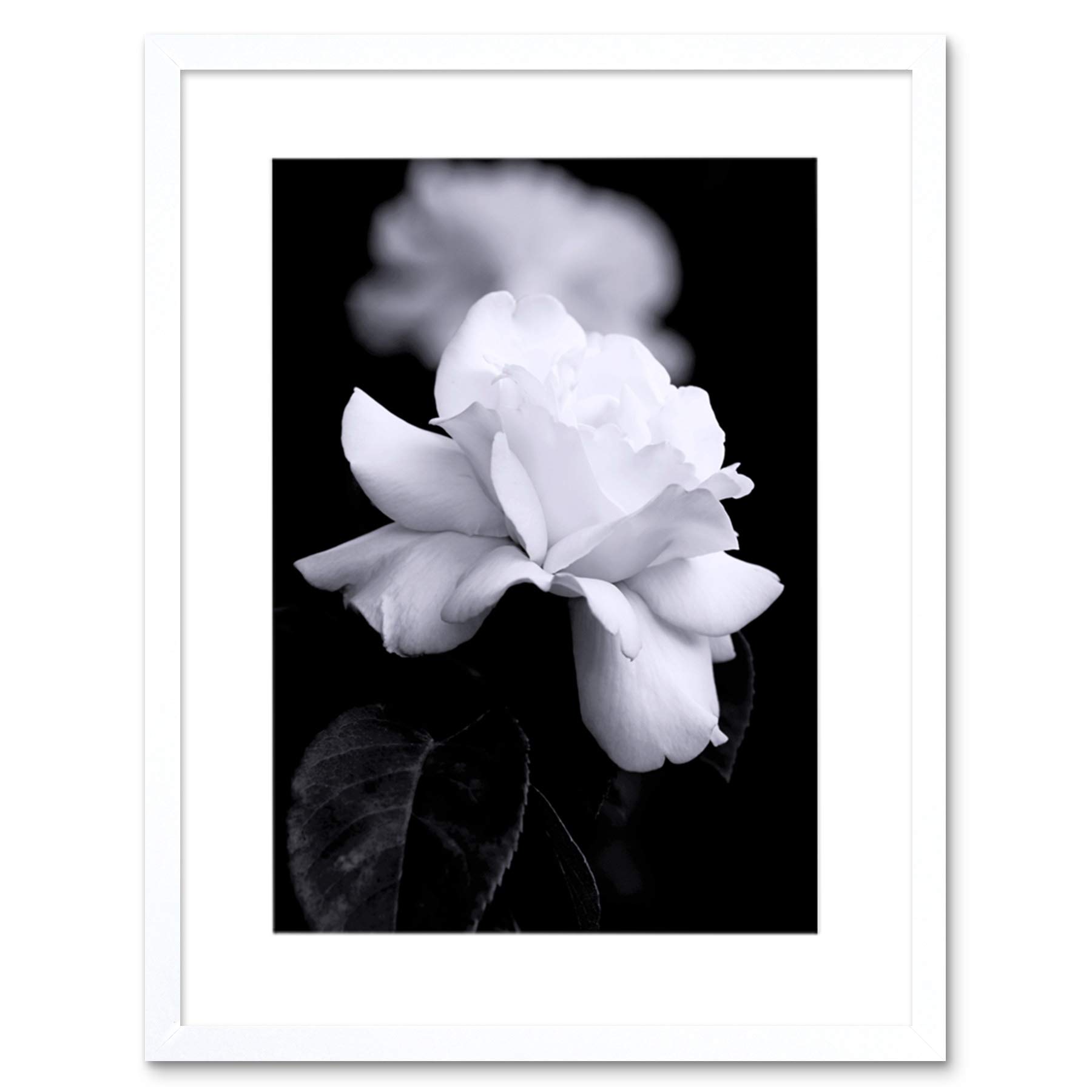 White Rose Flower Bloom Greyscale Framed Wall Art Print 12x16 Inch