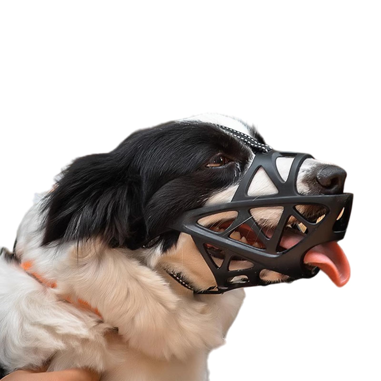 Museruola per cani, Museruola for cani di piccola taglia, museruola traspirante for, for for prevenire i morsi, regolabile, design con apertura frontale, consente ansimare(Black,L)