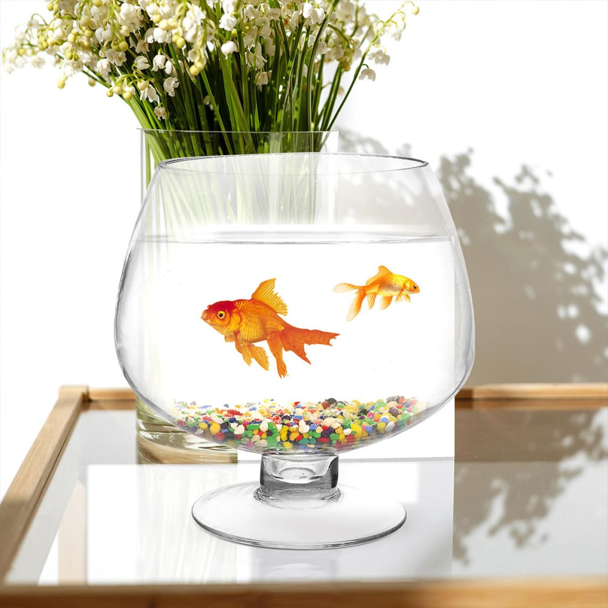 Mobestech Petit Aquarium Verre pour Poissons Betta Et Rouges Aquarium De Bureau Transparent Multifonction