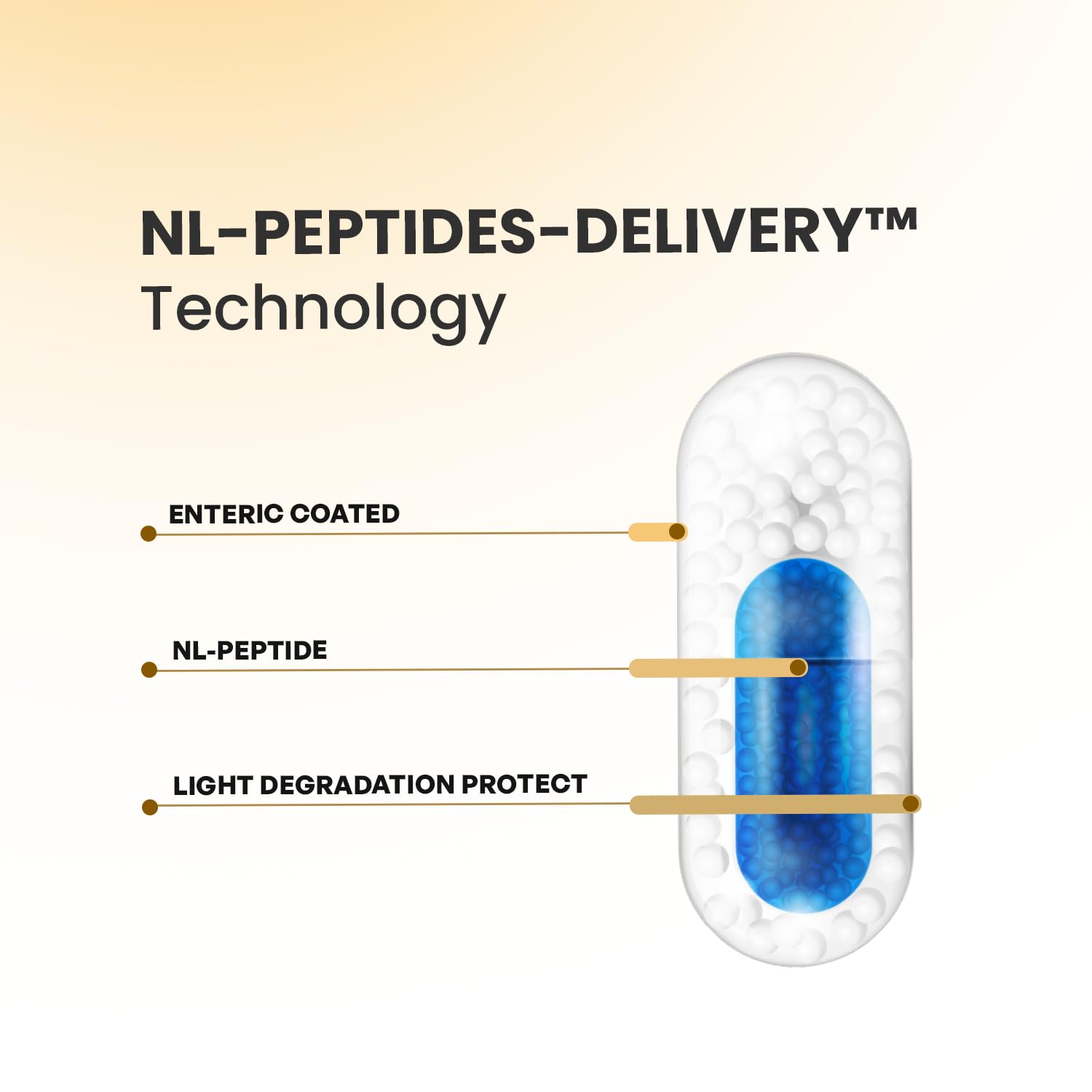 NL-GHK-CU - TETRAPEPTID + CU - Zur Hautregeneration - Zur Behandlung von Falten und Narben - Peptide für die Haut - Für Haarwachstum und dicke