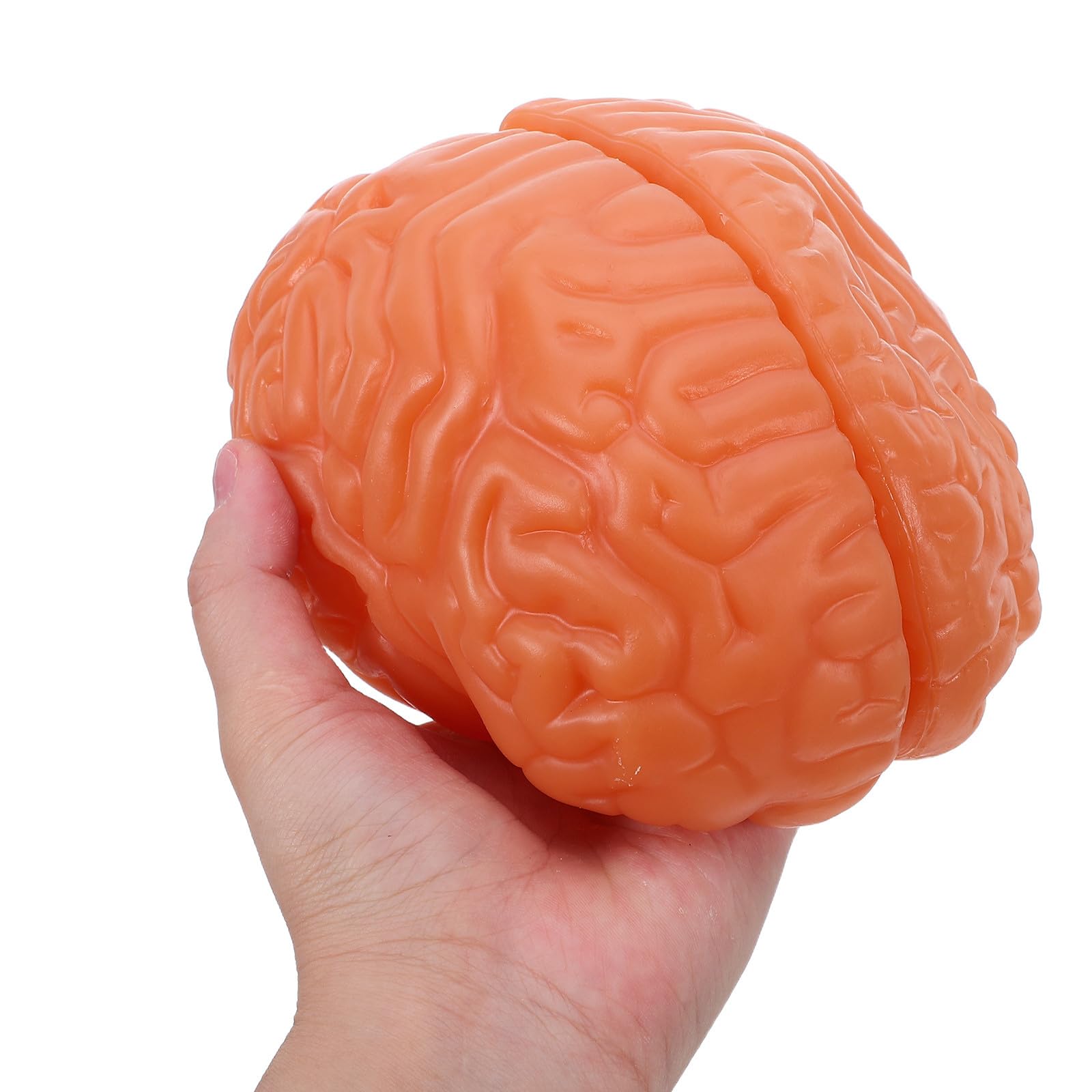 Modelo Anatómico del Cerebro de 3 Partes en Pvc Café | Sección Detallada, Réplica Anatómica Precisa, para Laboratorios de Ciencia y Exposición Educativa en Biología