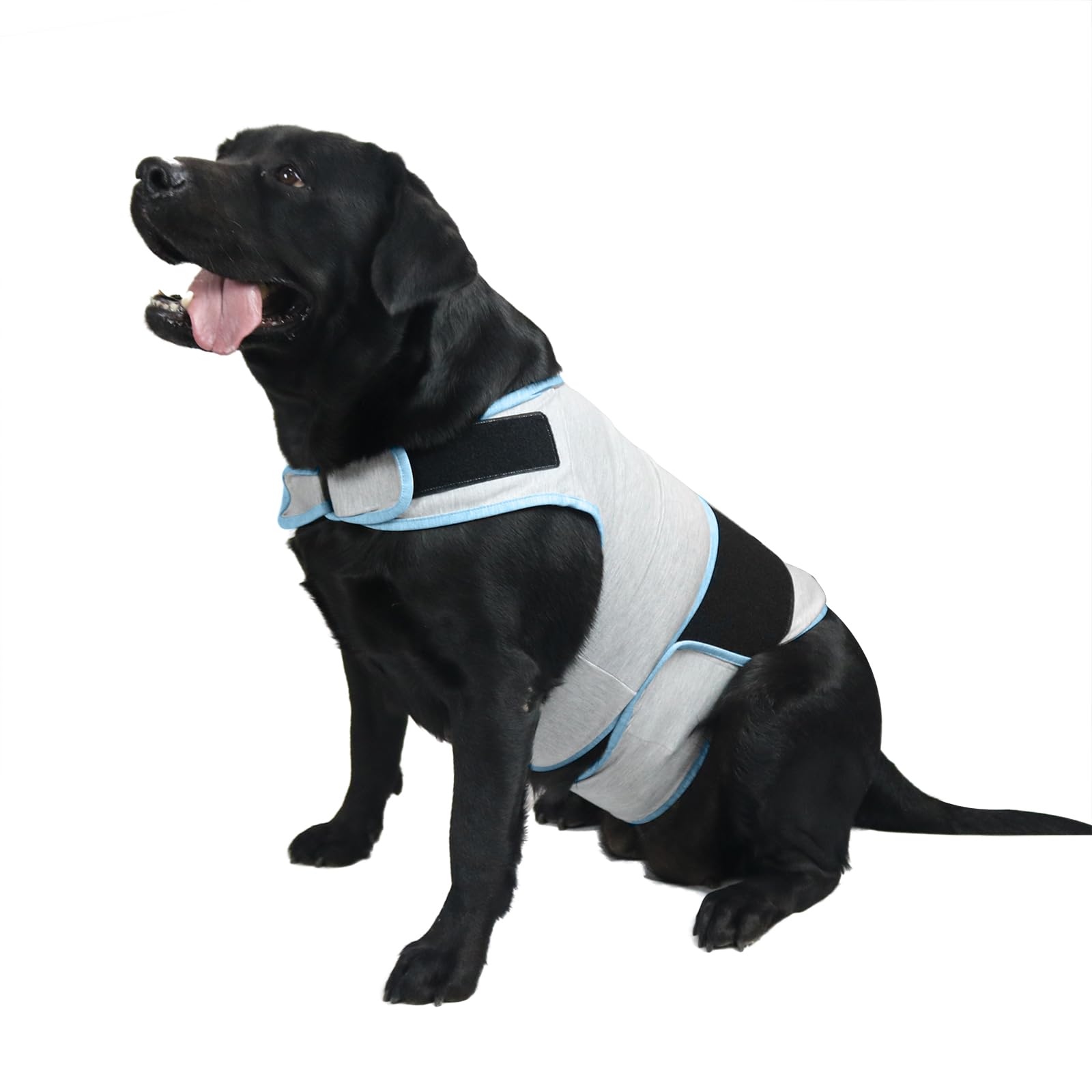 Dog Anxiety Vest, Comfort Dog Anxiety Relief Coat, Breathable Dog Calming Vest for Thunderstorm, Travel, Fireworks, Vet Visits（Dog Calming Vest Light Grey Blue XL）, X-Large