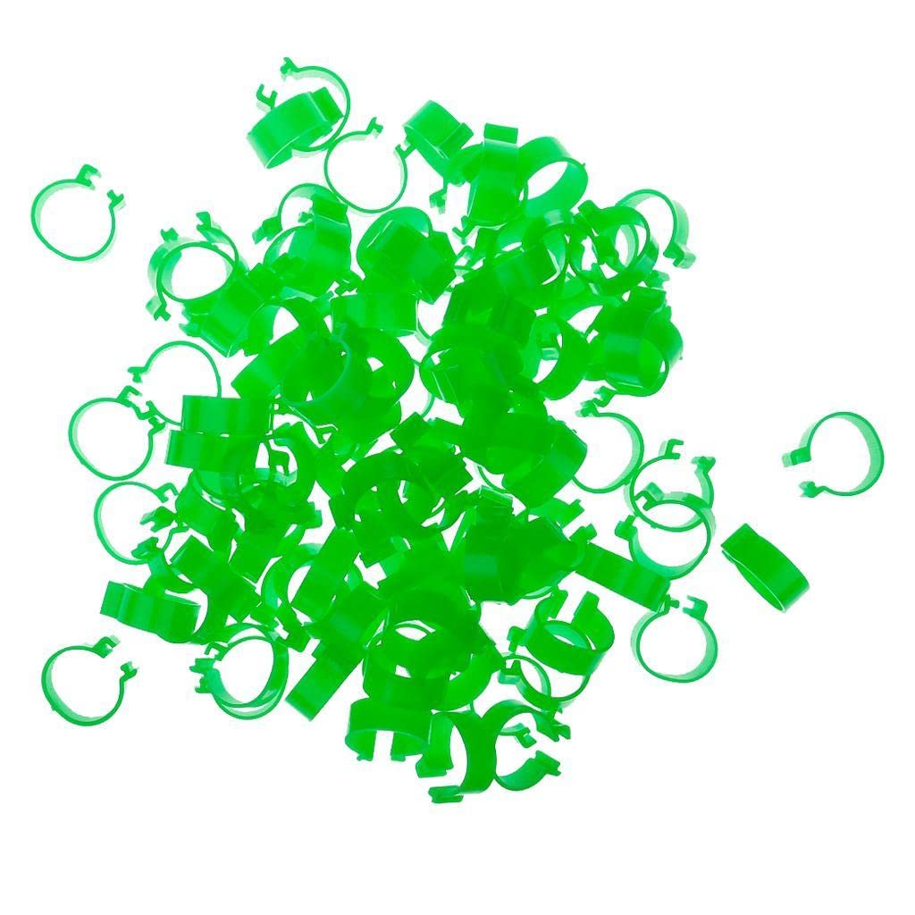 100x Chicken Poultry Leg Rings Bands Clip NO Numbers Green2.5cm Inner Dia.-image-36