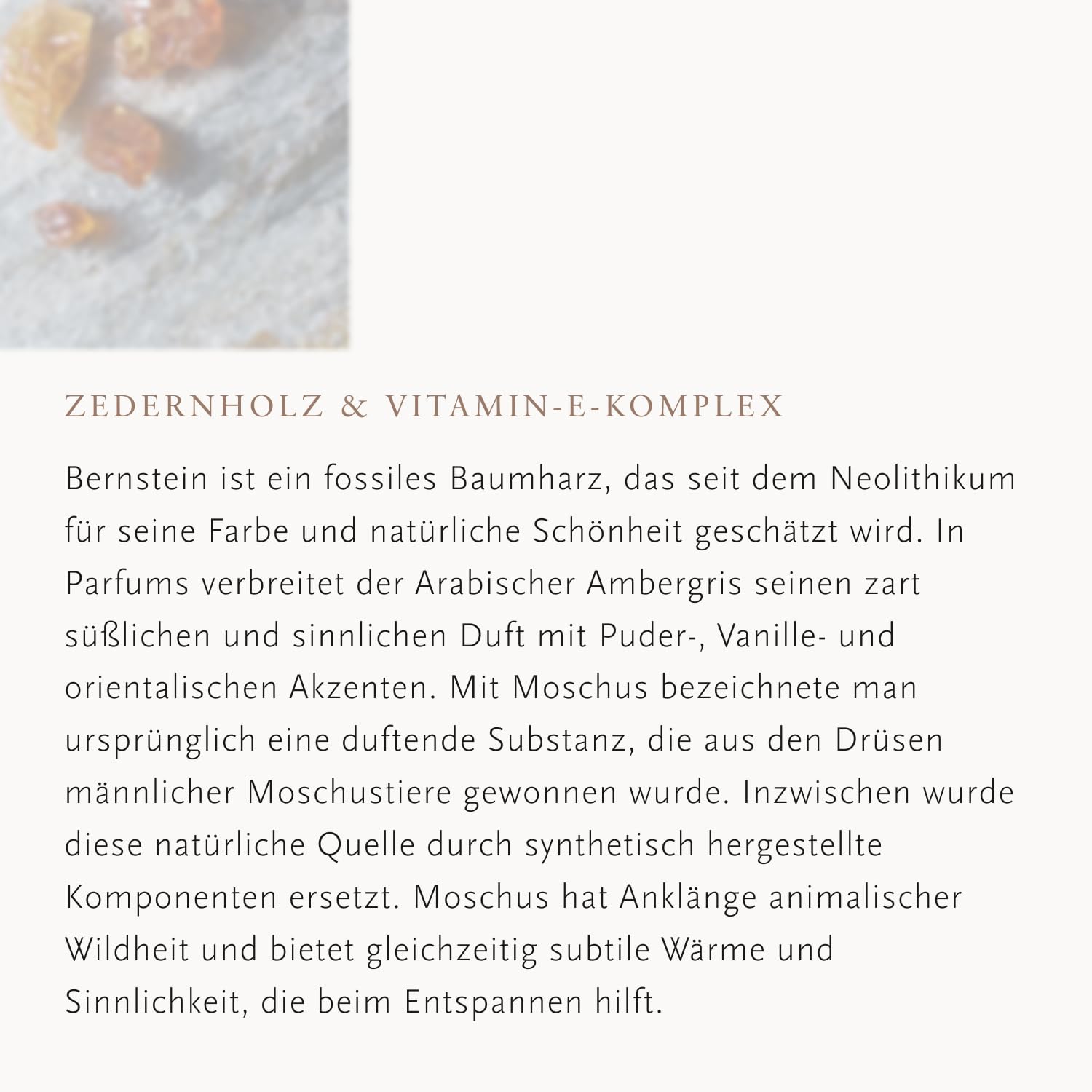 RITUALS Autoparfüm Nachfüller Homme Autoparfüm | Das Leben ist eine Reise | 2 Nachfüllungen für das Auto mit Duft von Amber und Moschus | Autoduft Nachfüllpack | 2 x 3 g