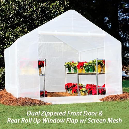 King Canopy Greenhouse 10-Feet by 10-Feet, 1 3/8-Inch Steel Frame, 6-Leg, Gardening, Hot House, Plants, Storage, Opaque, GH1010