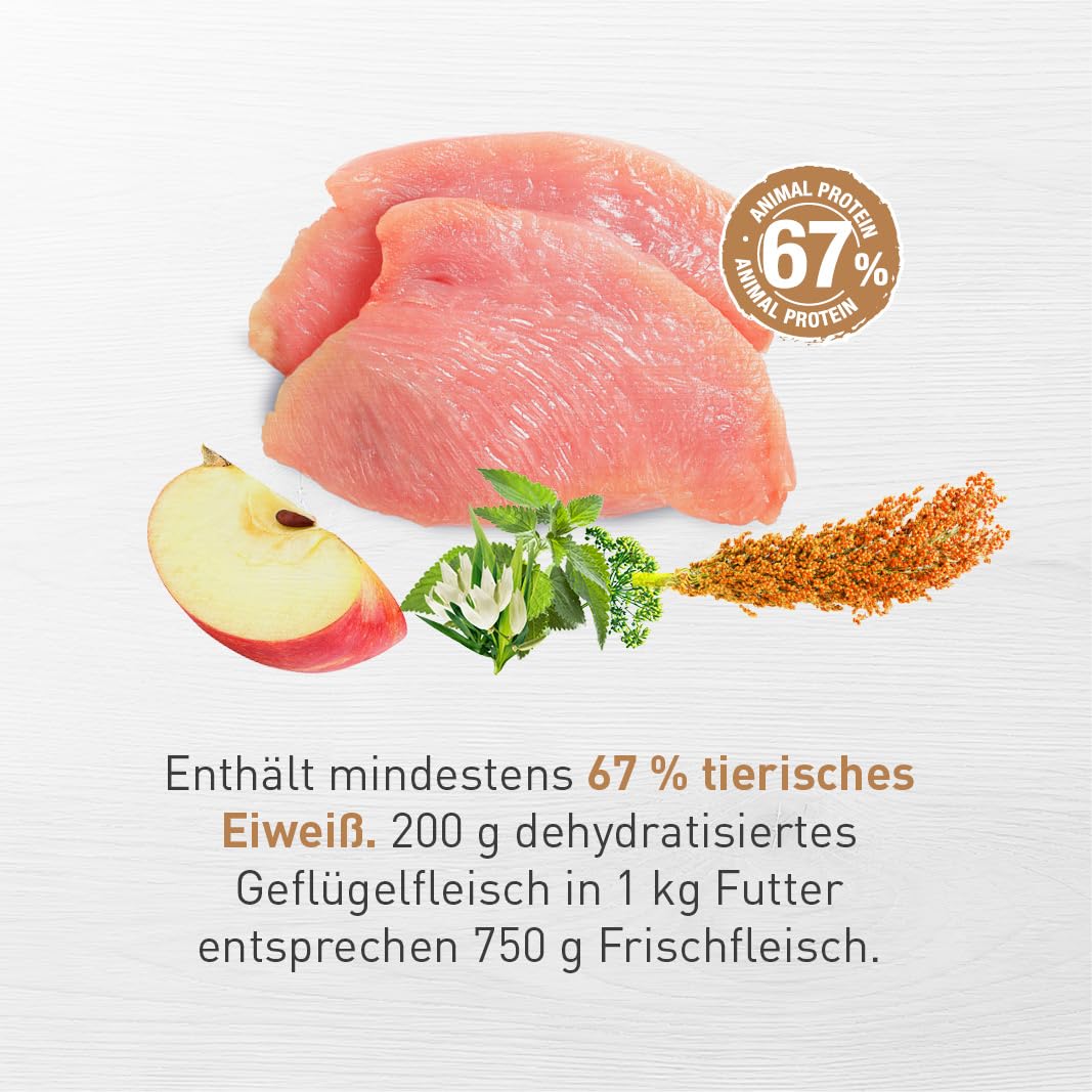 Eminent Senior High Premium – Glutenfreie Vollnahrung für ältere Hunde Aller Rassen | Mit 73% tierischem Eiweiß, L-Carnitin & Chondroprotektiva 15kg