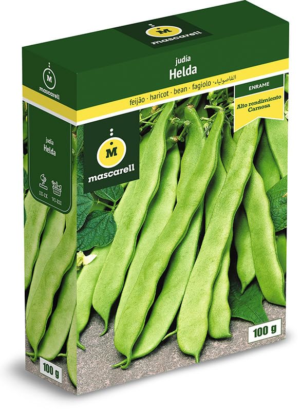 Mascarell Semillas, JUDÍA HELDA, Semillas Leguminosas, Fácil de Cultivar en Casa, 100 G.