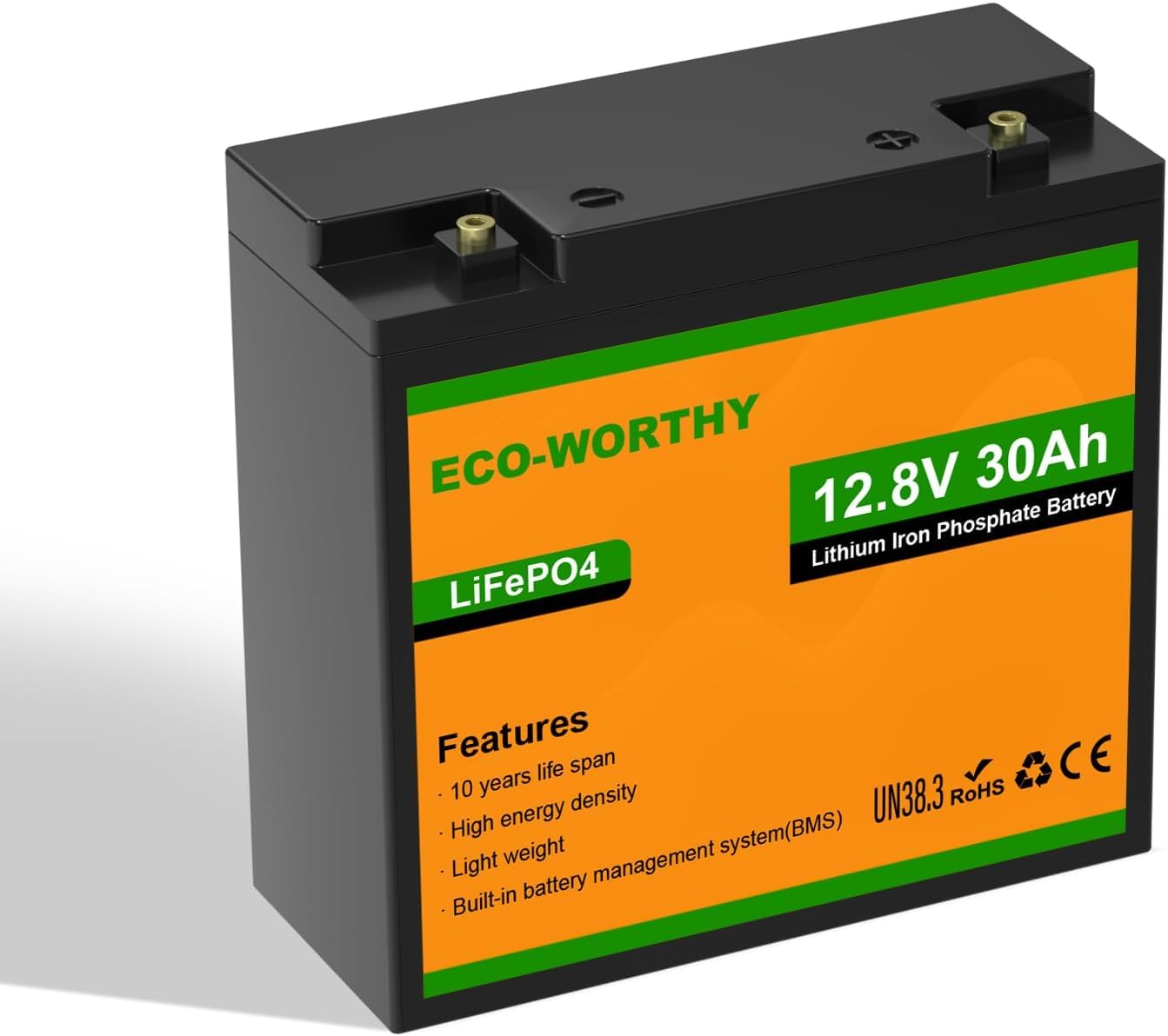 ECO-WORTHY LiFePO4 Batterie 12V 30Ah mit BMS Schutz und Max. 15000 Zyklen,384Wh Lithium Camping Batterie 12V 30Ah für Wohnmobile,Trolling-Motor,Boot