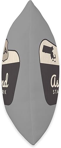 Miniatura 2 de Ashland State Park MA Vacation Souvenirs Ashland State Park Massachusetts Welcome Sign - Almohada de viaje, 18 x 18 pulgadas, multicolor