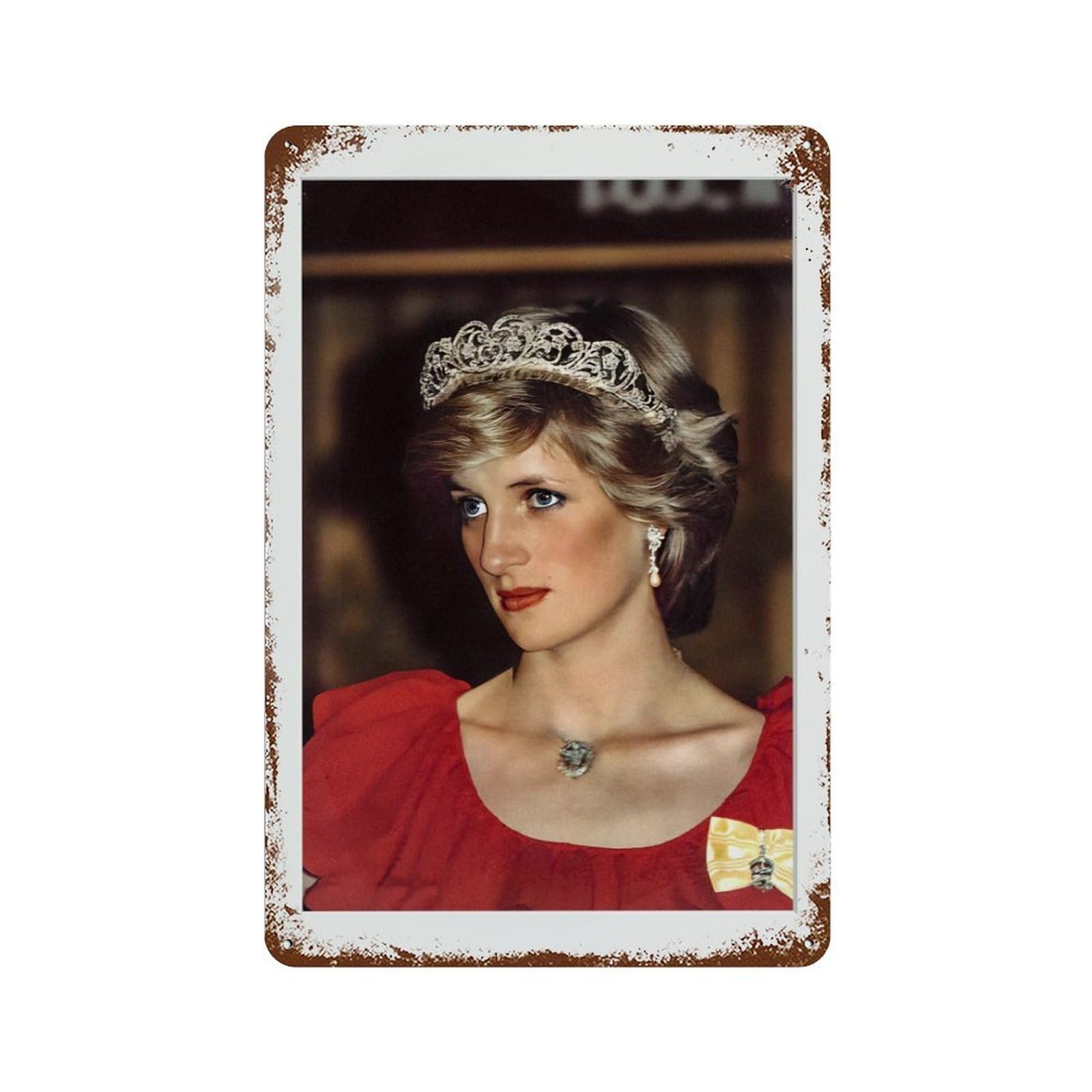 xiaoxiaoshen Princess Diana Photography S1 Wall Decor Art Metal Tin Poster Modern Home Decor Art Home Bar Shop Decorations Vintage Sign 30x20cm