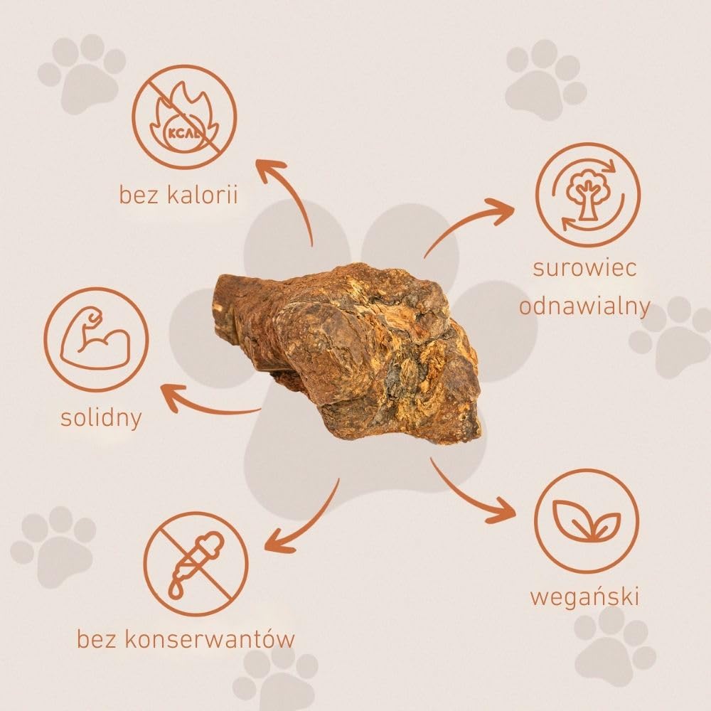 Wildfang® Gryzak z korzenia wrzośca, duży – Nieodpryskująca zabawka dla psów o silnej potrzebie gryzienia Naturalny gryzak na ząbkowanie Zdrowie zębów i dziąseł psa (dla psów 25–45 kg), 3 szt.