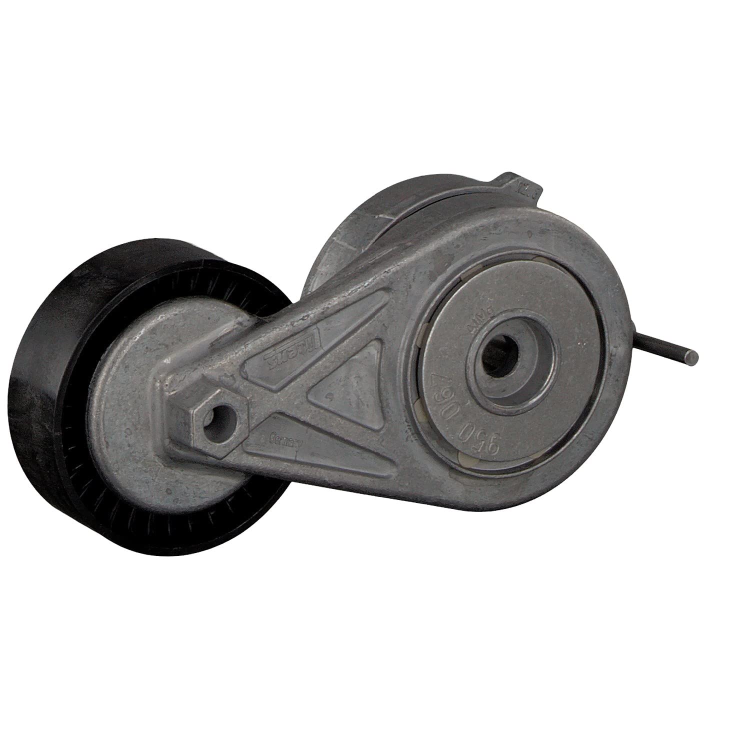 FEBI BILSTEIN Tendicinghia, Cinghia Poly-V 38972