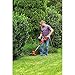 BLACK+DECKER String Trimmer, Electric, 14-Inch (BESTE620)