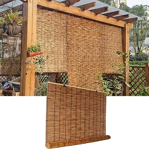How to deter dogs from garden