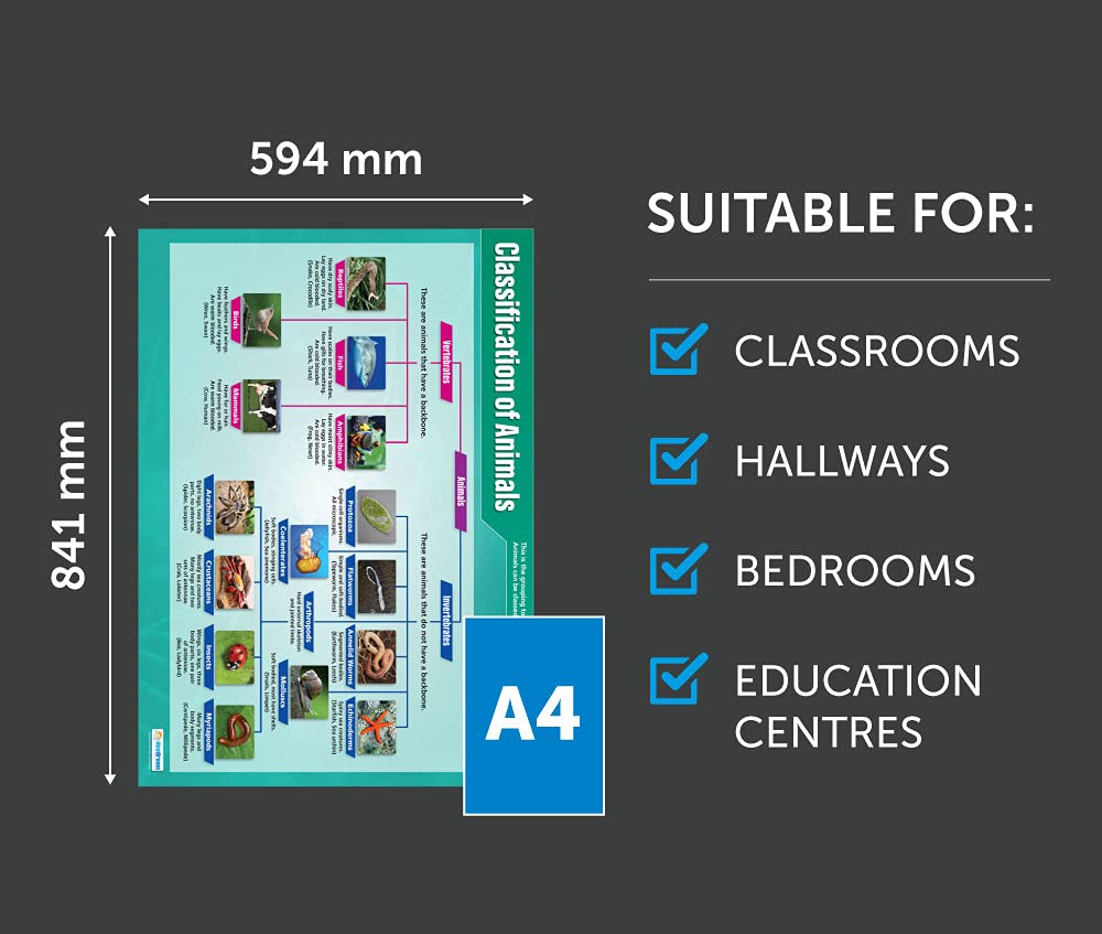 Classification of Animals | Science Posters | Laminated Gloss Paper ...