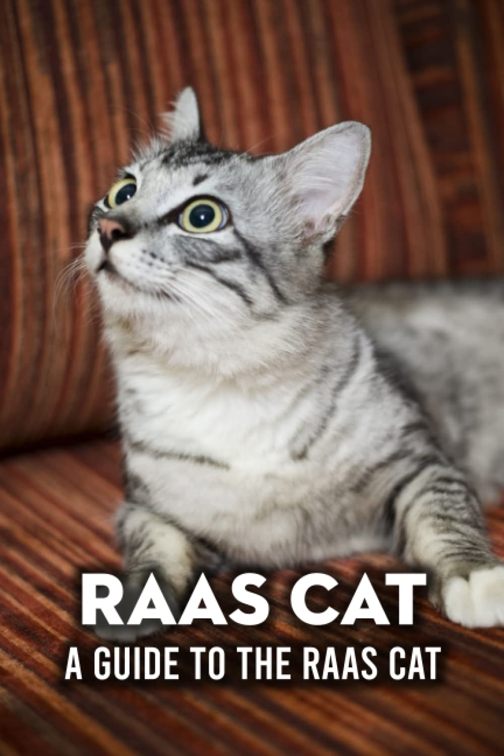 Raas Cat: A Guide to the Raas Cat