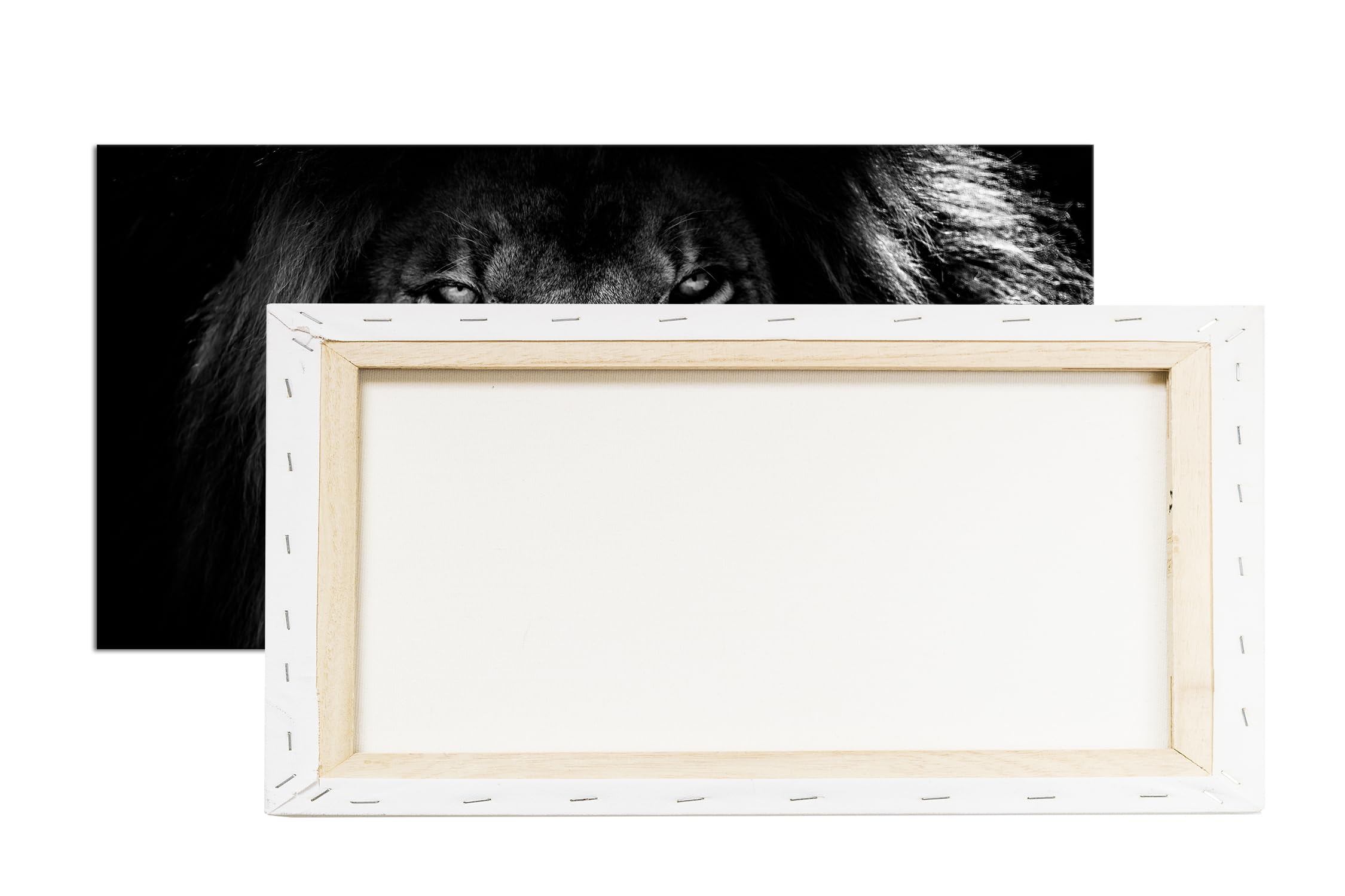 Foglioso leone panorama 100 x 50 cm effetto: nero/bianco come tela su tela, motivo già incorniciato su telaio in vero legno, stampa digitale di alta qualità con cornice