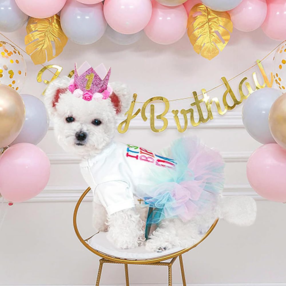 Amazon.com : ANIAC Dog Birthday Dress and Hat Set Puppy Lace Tutu Pink Pet Crown Hat with 0-9 Figures Birthday Outfit for Cats Small Dog (White+Pink,Large) : Pet Supplies Amazon.com : ANIAC Dog Birthday Dress and Hat Set Puppy Lace Tutu Pink Pet Crown Hat with 0-9 Figures Birthday Outfit for Cats Small Dog (White+Pink,Large) : Pet Supplies
