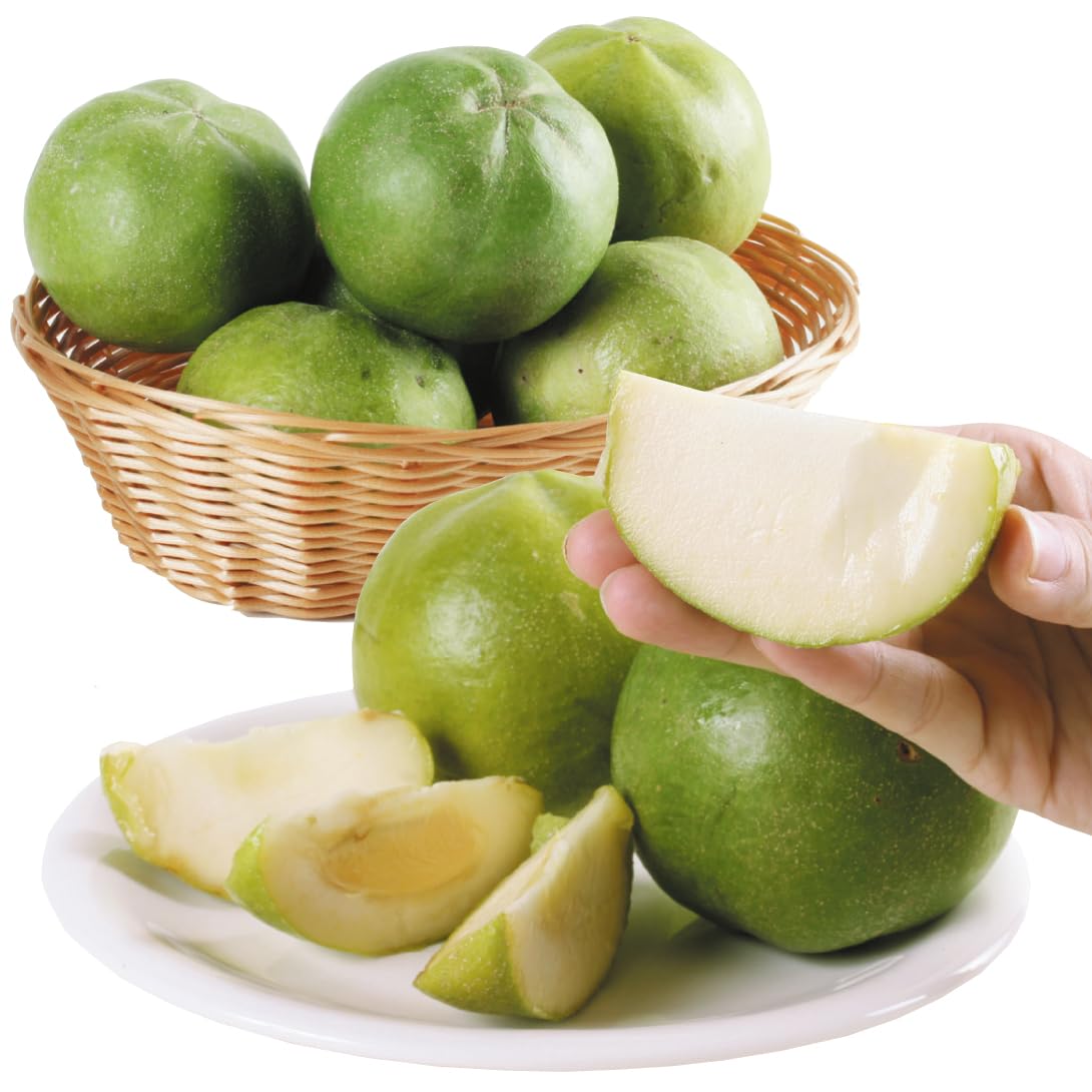 Amazon.co.jp: 果樹苗 ホワイトサポテ ルーク 1株 / 国華園 25