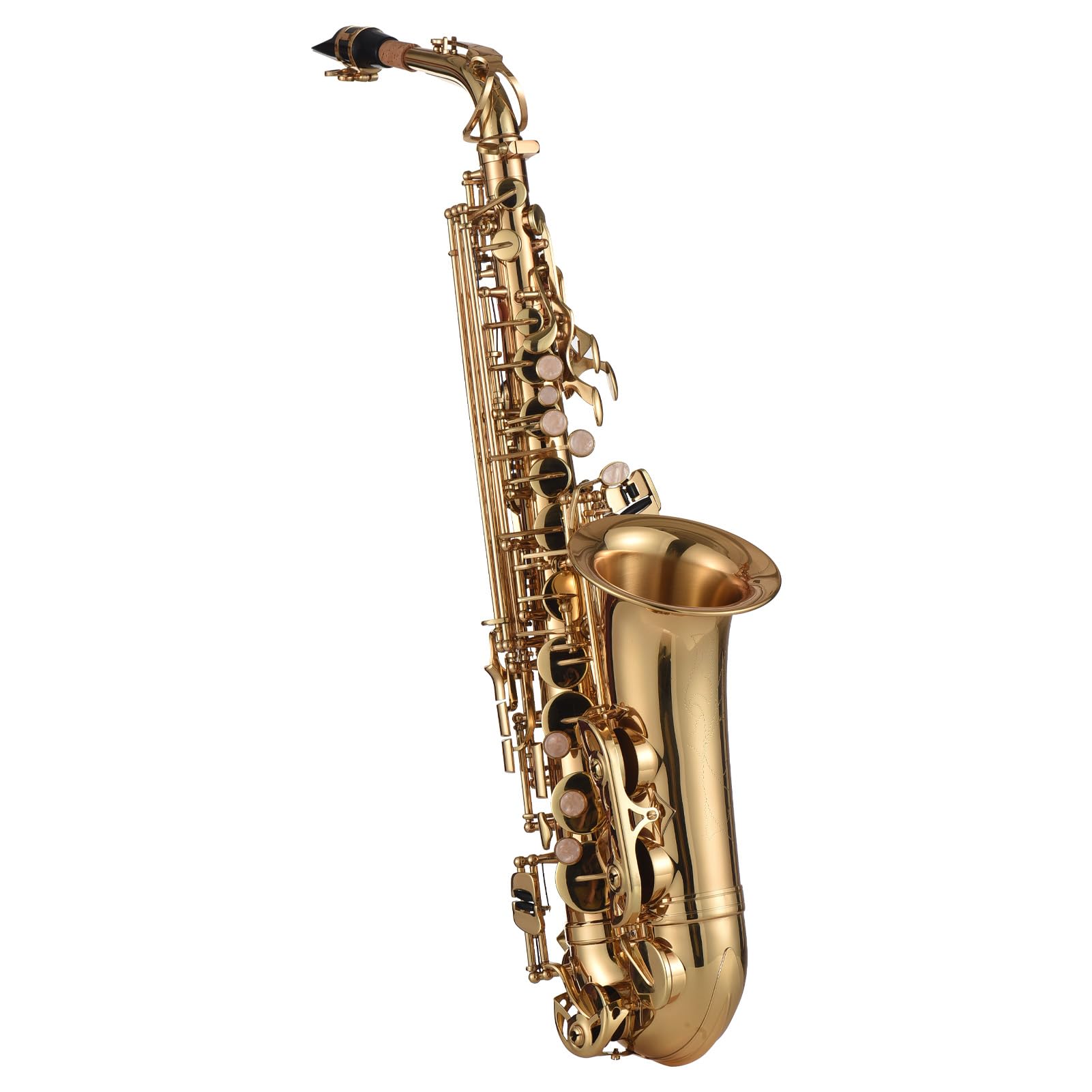 Strumento a Fiato Mib Sassofono Contralto Sax in Ottone Laccato Oro con Accessori Completi per Studenti e Musicisti