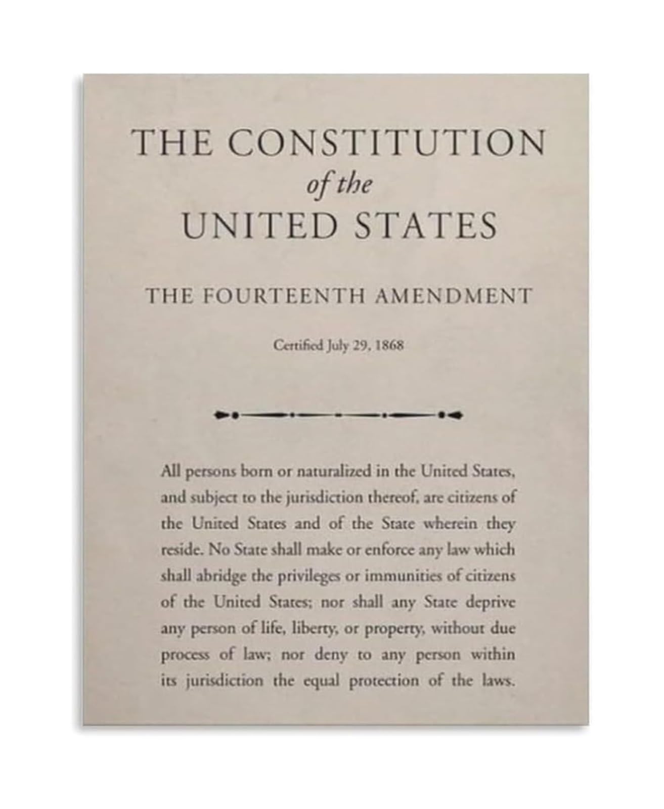 ZDVHOMCB Constitution Fourteenth Amendment Birthright Citizenship Civics Education Canvas Art Print for Office Study Wall Decor Framed,08x12inch(20x30cm)